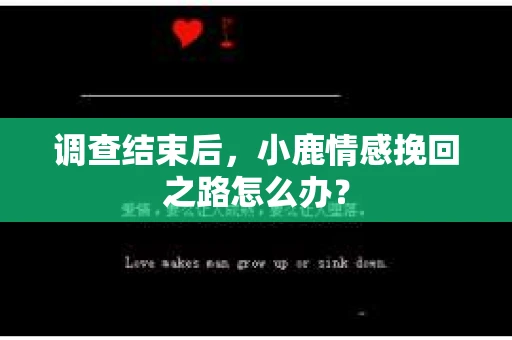 调查结束后，小鹿情感挽回之路怎么办？