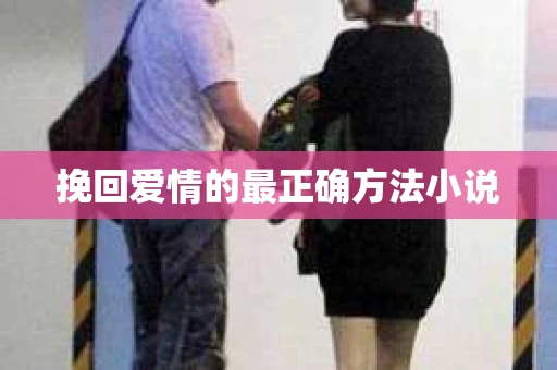 挽回爱情的最正确方法小说