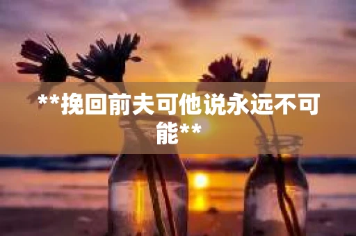 **挽回前夫可他说永远不可能**