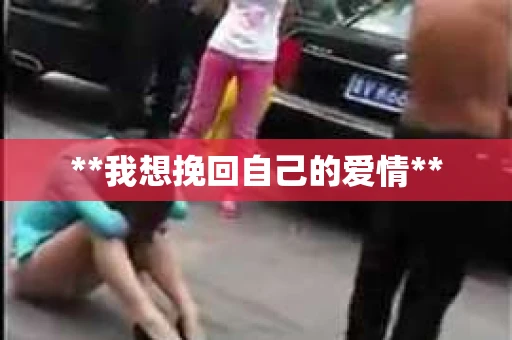 **我想挽回自己的爱情**