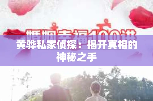 黄骅私家侦探：揭开真相的神秘之手