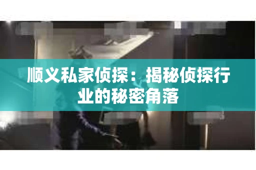 顺义私家侦探：揭秘侦探行业的秘密角落