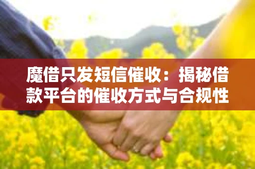 魔借只发短信催收：揭秘借款平台的催收方式与合规性