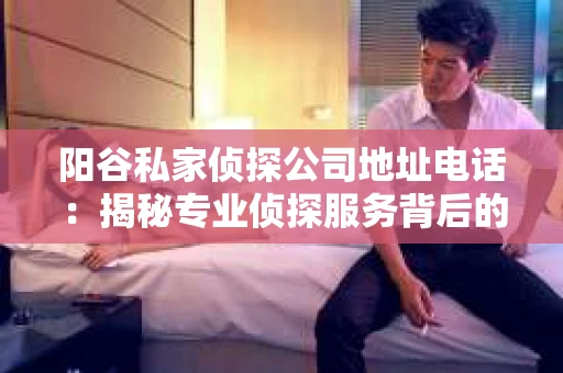 阳谷私家侦探公司地址电话：揭秘专业侦探服务背后的故事