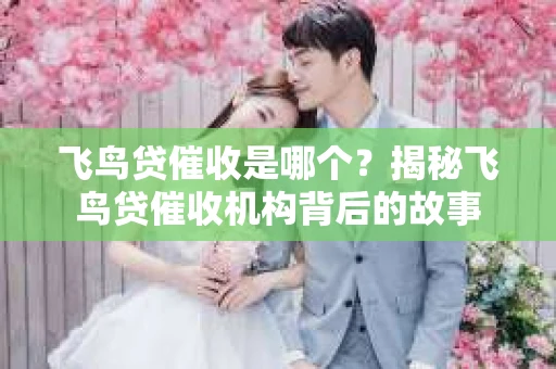 飞鸟贷催收是哪个？揭秘飞鸟贷催收机构背后的故事