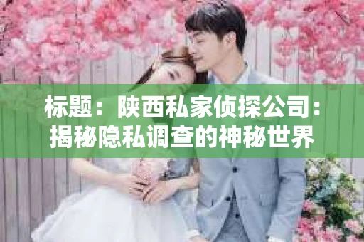 标题：陕西私家侦探公司：揭秘隐私调查的神秘世界