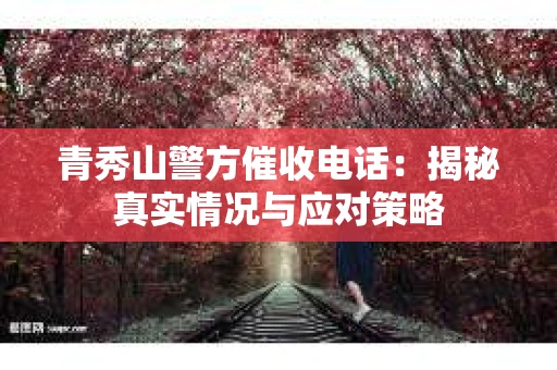 青秀山警方催收电话：揭秘真实情况与应对策略