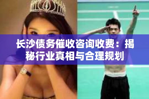 长沙债务催收咨询收费:揭秘行业真相与合理规划 长沙债务催收咨询收费:揭秘行业真相与合理规划