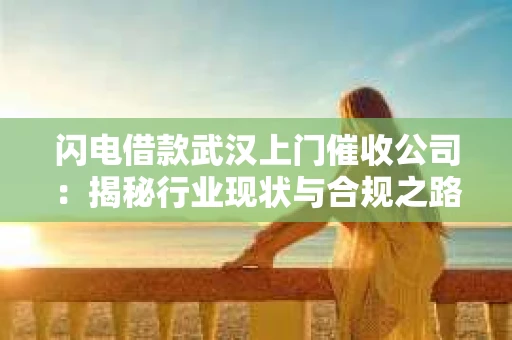 闪电借款武汉上门催收公司：揭秘行业现状与合规之路