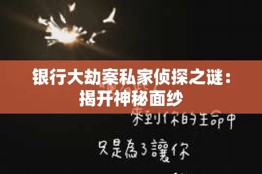 银行大劫案私家侦探之谜：揭开神秘面纱