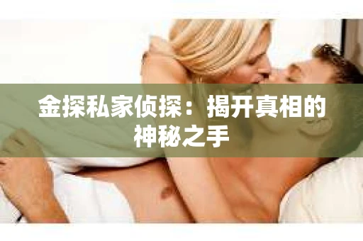 金探私家侦探：揭开真相的神秘之手