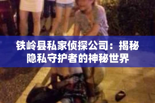铁岭县私家侦探公司：揭秘隐私守护者的神秘世界