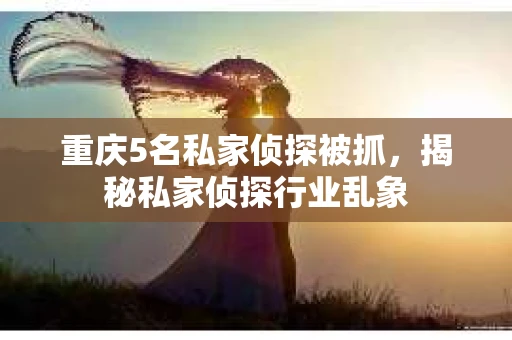 重庆5名私家侦探被抓，揭秘私家侦探行业乱象