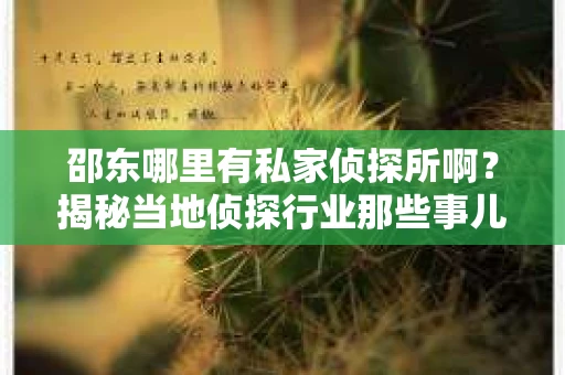 邵东哪里有私家侦探所啊？揭秘当地侦探行业那些事儿