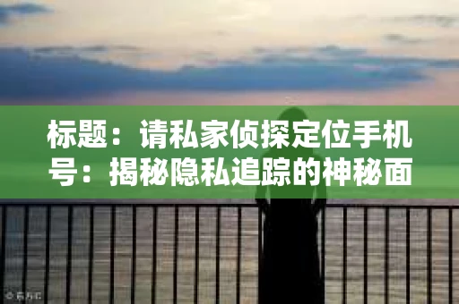 标题：请私家侦探定位手机号：揭秘隐私追踪的神秘面纱