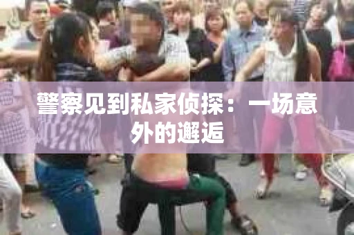 警察见到私家侦探：一场意外的邂逅