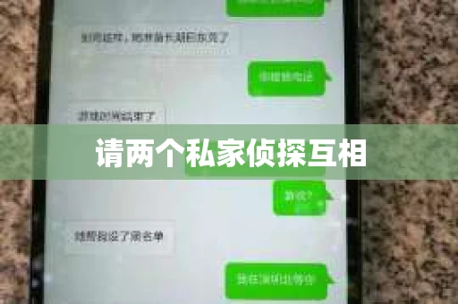 请两个私家侦探互相