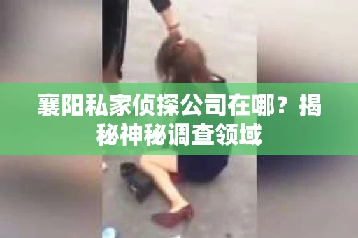 襄阳私家侦探公司在哪？揭秘神秘调查领域