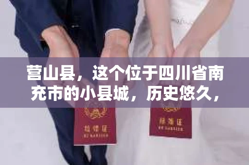 营山县，这个位于四川省南充市的小县城，历史悠久，风景秀丽。但在这个宁静的小县城里，你是否会好奇，有没有私家侦探的存在呢？今天，我就来和大家聊聊这个话题。