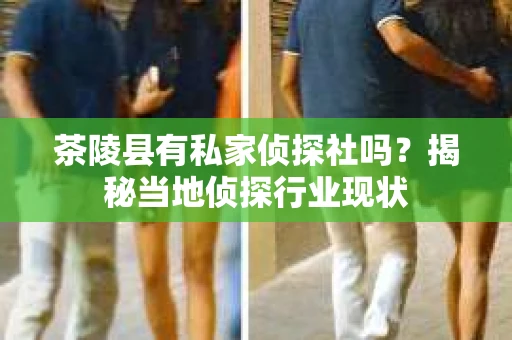 茶陵县有私家侦探社吗？揭秘当地侦探行业现状