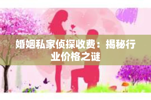 婚姻私家侦探收费：揭秘行业价格之谜