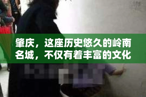 肇庆，这座历史悠久的岭南名城，不仅有着丰富的文化遗产，还有着独特的现代生活节奏。在这个城市里，你是否曾有过需要帮助解决一些棘手问题的时候？或许，你听说过肇庆有私家侦探，那么，他们究竟是怎样的存在呢？