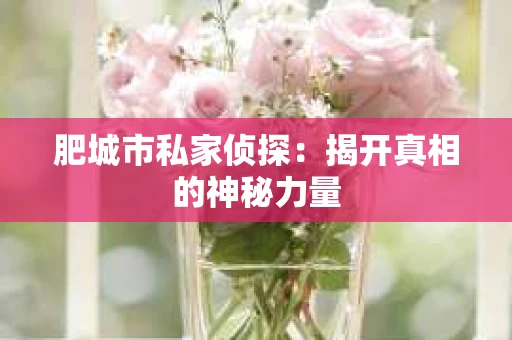 肥城市私家侦探：揭开真相的神秘力量