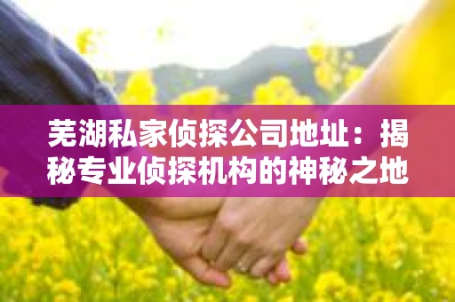 芜湖私家侦探公司地址：揭秘专业侦探机构的神秘之地