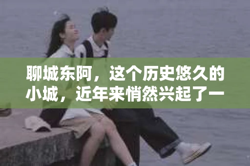 聊城东阿，这个历史悠久的小城，近年来悄然兴起了一股新的服务潮流——私家侦探。今天，我们就来聊聊这个话题，看看在聊城东阿，私家侦探是如何成为人们生活中的一部分的。
