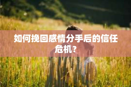 如何挽回感情分手后的信任危机？