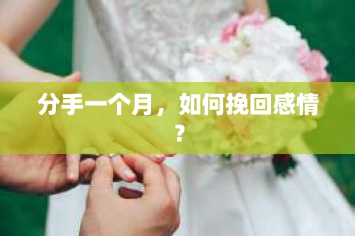 分手一个月，如何挽回感情？