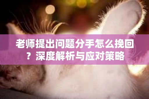 老师提出问题分手怎么挽回？深度解析与应对策略