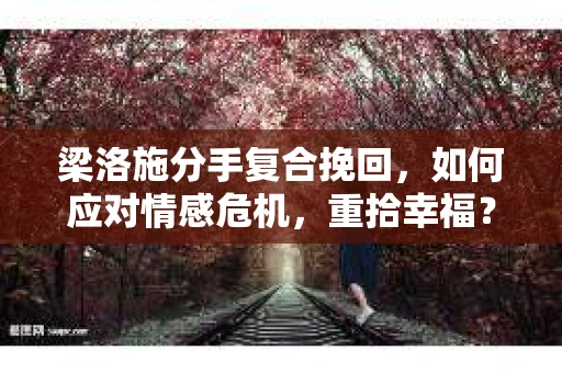梁洛施分手复合挽回，如何应对情感危机，重拾幸福？