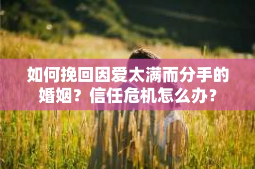如何挽回因爱太满而分手的婚姻?信任危机怎么办? 如何挽回因爱太满而分手的婚姻?信任危机怎么办?