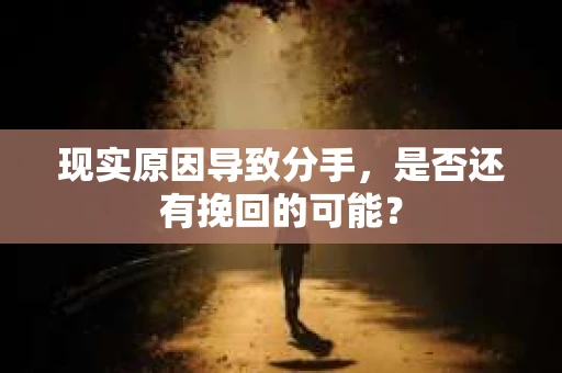 现实原因导致分手，是否还有挽回的可能？