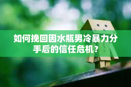 如何挽回因水瓶男冷暴力分手后的信任危机？