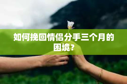 如何挽回情侣分手三个月的困境？